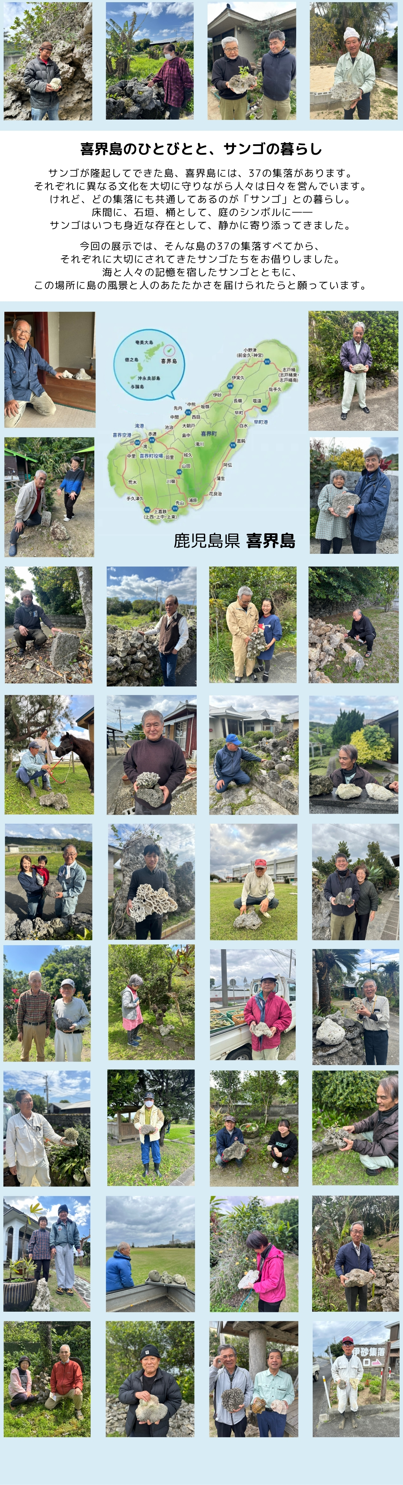 サンゴと海の記憶